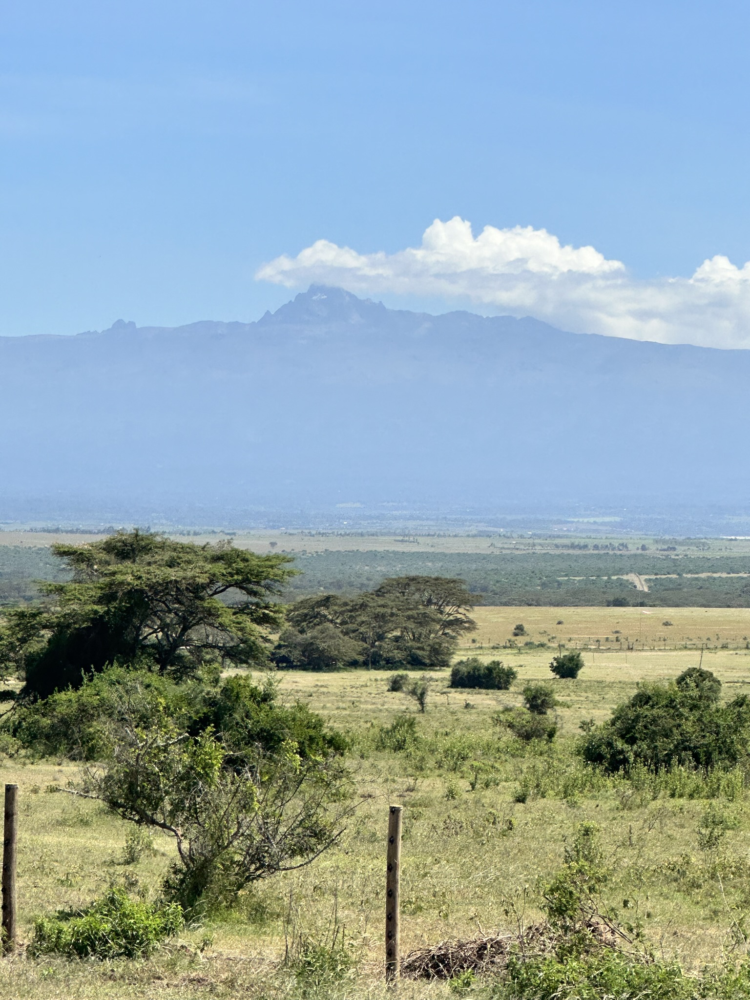 Mt. Kenya